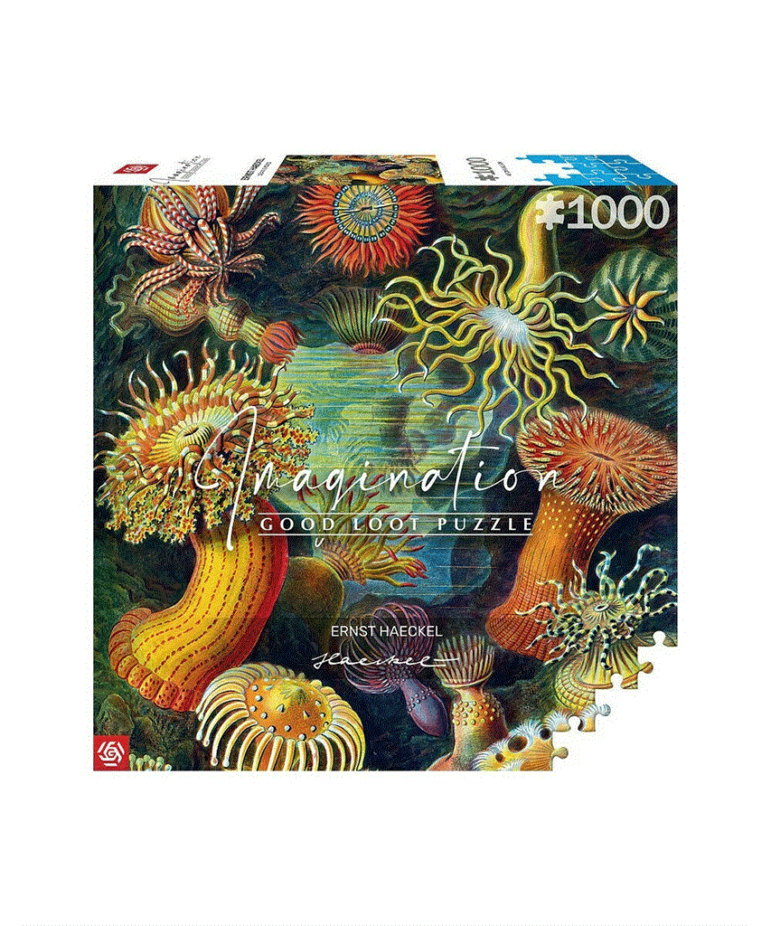 Imagination: Ernst Haeckel: Sea Anemones/Stworzenia morskie Puzzle 1000pcs