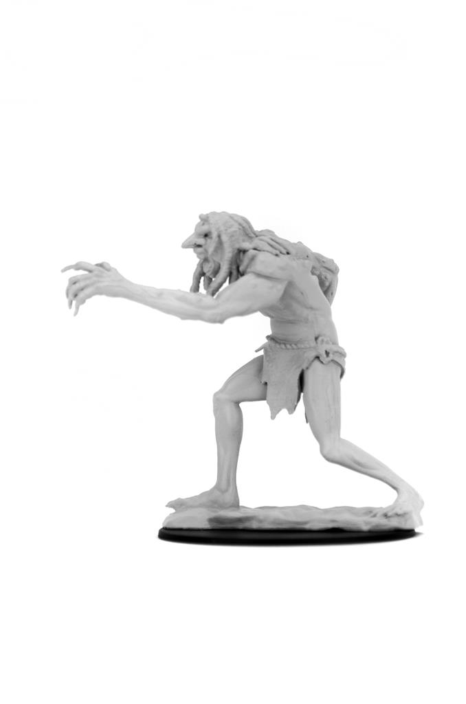 D&D Nolzur's Marvelous Miniatures: Troll - EN