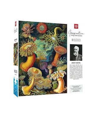 Imagination: Ernst Haeckel: Sea Anemones/Stworzenia morskie Puzzle 1000pcs