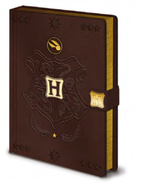 Pyramid Premium A5 Notebooks - Harry Potter (Quidditch)