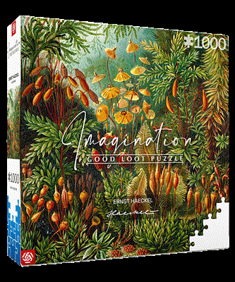 Imagination: Ernst Haeckel Muscinae Puzzle 1000pcs