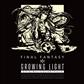 Growing Light: Final Fantasy XIV Original Soundtrack