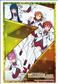 Bushiroad Sleeve Collection HG Vol.4289 The Idolmaster Million Live! (75 Sleeves)