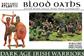 Blood Oaths - Dark Age Irish Warriors (40) - EN