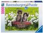 Ravensburger Puzzle - Picknick auf der Wiese - 1000pc