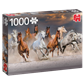 Pferde in der Wüste - 1000 Teile