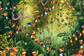 Puzzle: Tukans im Dschungel (1000 Teile)