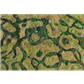 Kraken Wargames Gaming Mat - Forsaken Swamp 6x3