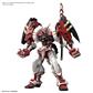 Gundam - Hi-Resolution Model 1/100 Astray Red Frame Powered Red