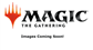 Magic: The Gathering Unpainted Miniatures Wave 6: Retail Reorder Cards - EN
