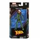 Hasbro Marvel Legends Series Marvel's Rogue X-Men Figure