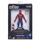 Hasbro Marvel Legends Series Spider-Man