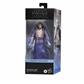 Star Wars The Black Series Qui-Gon Jinn (Force Spirit)