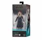 Star Wars The Black Series Ahsoka Tano