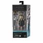 Star Wars The Black Series Professor Huyang