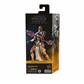 Star Wars The Black Series MagnaGuard