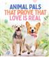 Animal Pals That Prove That Love Is Real - EN